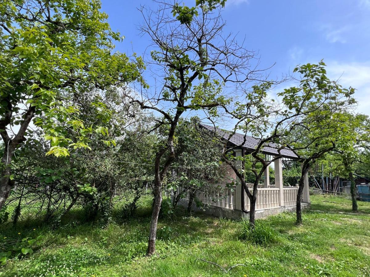 Apartamento Gardenia Tskaltubo Exterior foto